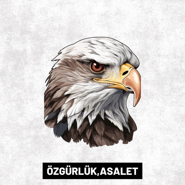 KARTAL MOTİF 🦅